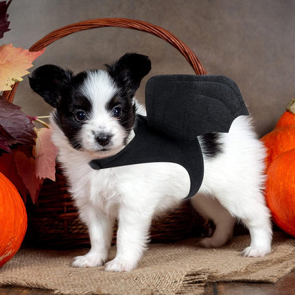 Dog Halloween Costume - Halloween Bat Wings Pet Costumes for Dogs Cats Halloween Party Medium