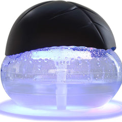 Collection image for: Air Purifier & Humidifier