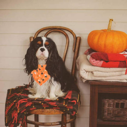 4PCS Halloween Dog Bandana Pet Halloween Bandana Pumpkin Ghost Witch Print Dog Puppy Halloween Bandana Pet Triangle Bibs Scarf Accessories for Dogs Cats Pets (Black&Orange&Purple)