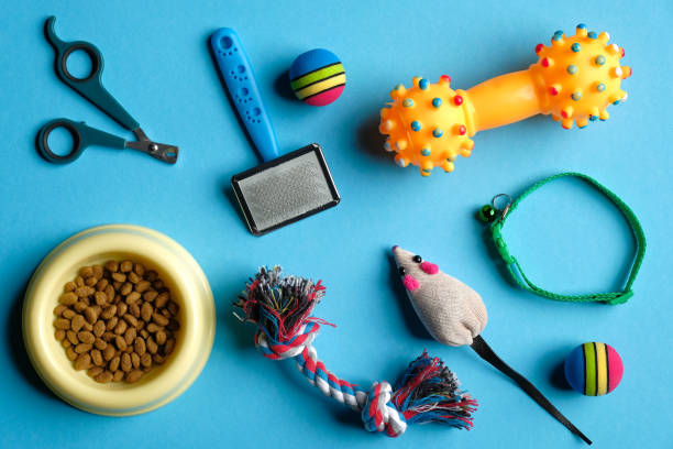 <h3>Pet Food & toys</h3>