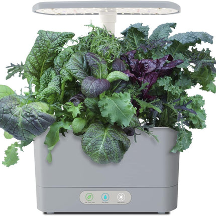 Harvest - Indoor Garden with LED Grow Light, Cool Gray