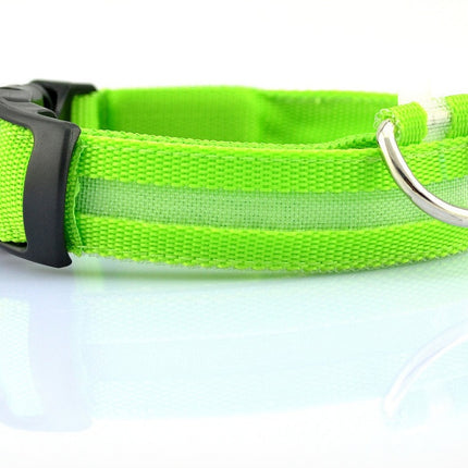 Nylon LED Pet Dog Luminous Collar Night Safety Flashing Glow in Dark Dog Cat Leash Adjustable Pet Supplies