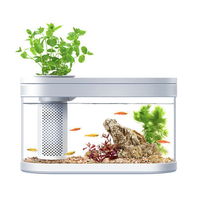 Geometric Amphibious Ecological Lazy Fish Tank