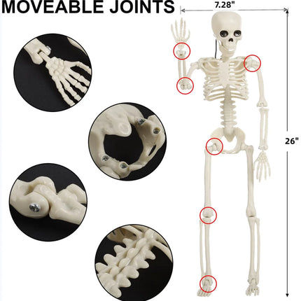 Halloween Skeletons,  26" Full Body Adjustable Skeleton with Movable Joints for Halloween Party Haunted House Outdoor Yard Tree Desk Decor, Holiday Scary Toys Prizes Gifts for Kids