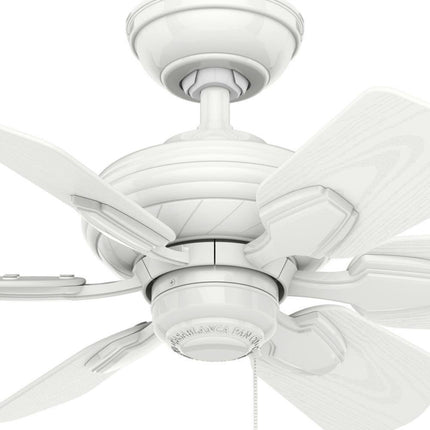 Wailea 31 In. Indoor/Outdoor Snow White Ceiling Fan for Patios or Bedrooms