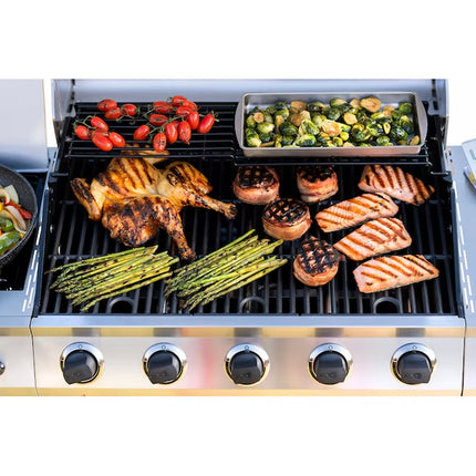 Performance Series Silver 5-Burner Liquid Propane Gas Grill with 1 Side Burner