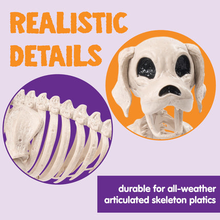 9.8 Inch Halloween Skeleton Dog Skeleton Halloween Decor,Pose-N-Stay Plastic Skeleton Bones with Posable Joints for Hallowmas Decoration Outdoor Haunted House Party