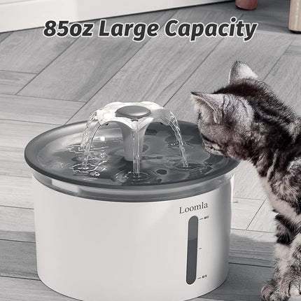 Cat Water Fountain, 85Oz/2.5L Pet Water Fountain Indoor, Automatic Dog Water Dispenser with Switchable LED Lights, 2 Replacement Filters for Cats, Dogs, Pets (Dark Gray)