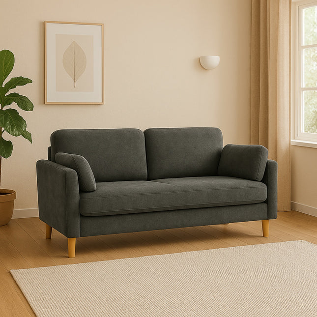 Modern Minimalist 2-Seater Sofa