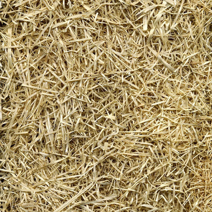 Seed EZ Straw 1 Cu Ft Seeding Mulch Bale with Tack, 200 Sq Ft