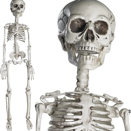 30 Inch Halloween Giant Skeleton - Full Body Halloween Skeleton with Movable Joints for Best Halloween Decoration