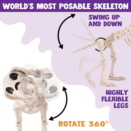 9.8 Inch Halloween Skeleton Dog Skeleton Halloween Decor,Pose-N-Stay Plastic Skeleton Bones with Posable Joints for Hallowmas Decoration Outdoor Haunted House Party