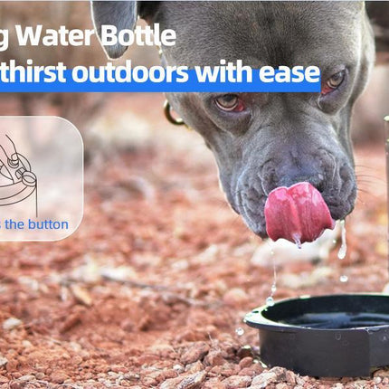 Lassot Portable Pull-out Water Bowl For Dogs, Large Capacity, Perfect For Camping, Hiking, Beach Trips, Road Trips, And Park Walks.